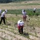 The President signed a decree "On additional measures