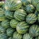 By the end of August, it became known that prices for a