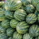 O‘zbekistonda avgust oyi yakuniga ko‘ra, bir qator
