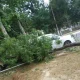 Weather conditions in Tashkent have changed sharply, with