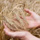 From January to June 2025, all types of farms in our