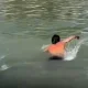 En las redes sociales se difundió un video que muestra a