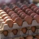 An unexpected development was recorded in trade between