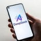 Хитойнинг DeepSeek нейротармоғи Россия ҳудудида одатий