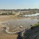 Toshkent