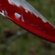 Тошкент вилоятидаги Чиноз туманида содир бўлган ва бутун