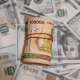 The Central Bank of Uzbekistan has announced the official