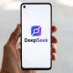 Компания DeepSeek значительно снизила цены на API для