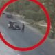 Taşkent bölgesinde meydana gelen trajik trafik kazası