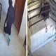 В социальных сетях распространилось необычное видео с