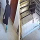 Ижтимоий тармоқларда мушук билан боғлиқ ноодатий видео