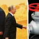 Der offizielle Besuch des russischen Präsidenten Wladimir