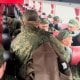 Россия–Украина