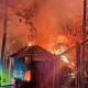 В крупном Новосибирском зоопарке имени Р. А. Шило