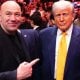 АҚШ президенти Доналд Трамп келаси йил 14 июнда Оқ уй