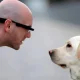 Your pet understands you! Dogs can recognize human