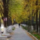 Uzhydromet has released the weather forecast for the