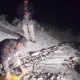 O‘zbekistonda tabiatga yetkazilgan zarar ko‘lami yana