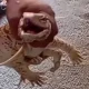 Бухоро вилоятида