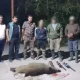 Гулистон шаҳрида овчилар қонун талабларига зид равишда