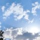 21 август куни Ўзбекистонда ҳаво шароитлари қаттиқ