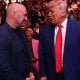 UFCning Oq uyda o‘tkazilishi mumkin bo‘lgan turniri haqida