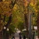 10 октября погода будет преимущественно солнечной, осадки
