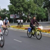 Toshkentda sayl: vilosipedlar bepul taqdim etiladi