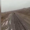 Nukusda yoʻlovchi poyezdi oʻsmirni bosib ketgani aks etgan video tarqaldi (video+18)