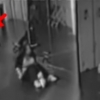 Raqs studiyasidagi ko‘zguda arvoh ko‘rindi (Video)