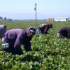 Rossiyaning Astraxan viloyati 2021 yilda O‘zbekistondan 10 ming mehnat migrantini qabul qilmoqchi