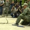 Америка аскарларини кобранинг қонини ичишга ўргатишди