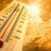 Ҳаво ҳарорати ростдан ҳам 43°C ми? Аҳолининг жазирамага муносабати қандай? (видео)