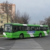 Toshkentning Amir Temur ko‘chasidagi avtobus poygalari YTHlar soni oshishiga sabab bo‘lmoqda