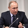 Putin saylovlarda mag‘lub bo‘lsa, kombayn haydovchisi bo‘lib ishlashga va’da berdi