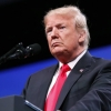 Трамп Путин билан “телефон орқали жуда яхши суҳбат” қурганини айтди