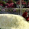 Qirg‘iziston prezidenti Islom Karimov qabrini ziyorat qildi