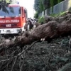 Италияда юз берган кучли шамол вақтида 4 киши ҳалок бўлди