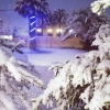 Ироқда 12 йил деганда қор ёғди (видео)
