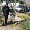 Бухоро вилоят давлат солиқ бошқармаси “Миллион дарахт ўтқазиш” акциясида фаол қатнашмоқда