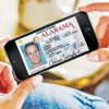 Haydovchilik guvohnomasi o‘rniga smartfon