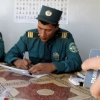 Пиёдаларни жаримага тортиш бошланди