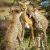 10 йил давомидаги энг таъсирли сурат