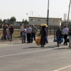 O‘zbekiston va Tojikiston chegara bozorlarida nimalar bilan savdo qilishmoqda? (video)