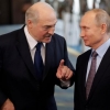 Путин ва Лукашенко Сочида «юзма-юз» учрашув ўтказади