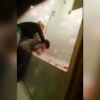 Ijtimoiy tarmoqlarda farzandiga zulm qilayotgan ona videosi tarqaldi