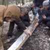 Россияда 6 метрли лўла кабоб пиширилди (видео)