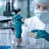 Yana 61 nafar hamyurtimizda virus aniqlandi. Ulardan 12 nafari aholi orasidan