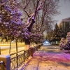 27 dekabr kuni O‘zbekistonda qanday ob-havo kuzatiladi?