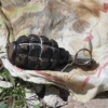 Qozog‘istonda granata sotishga uringan fuqarolar ushlandi